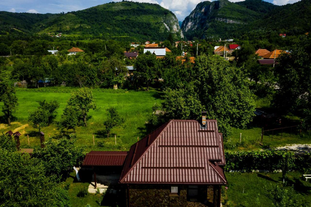Hotel Conacul Caterinei Polovragi Exterior foto