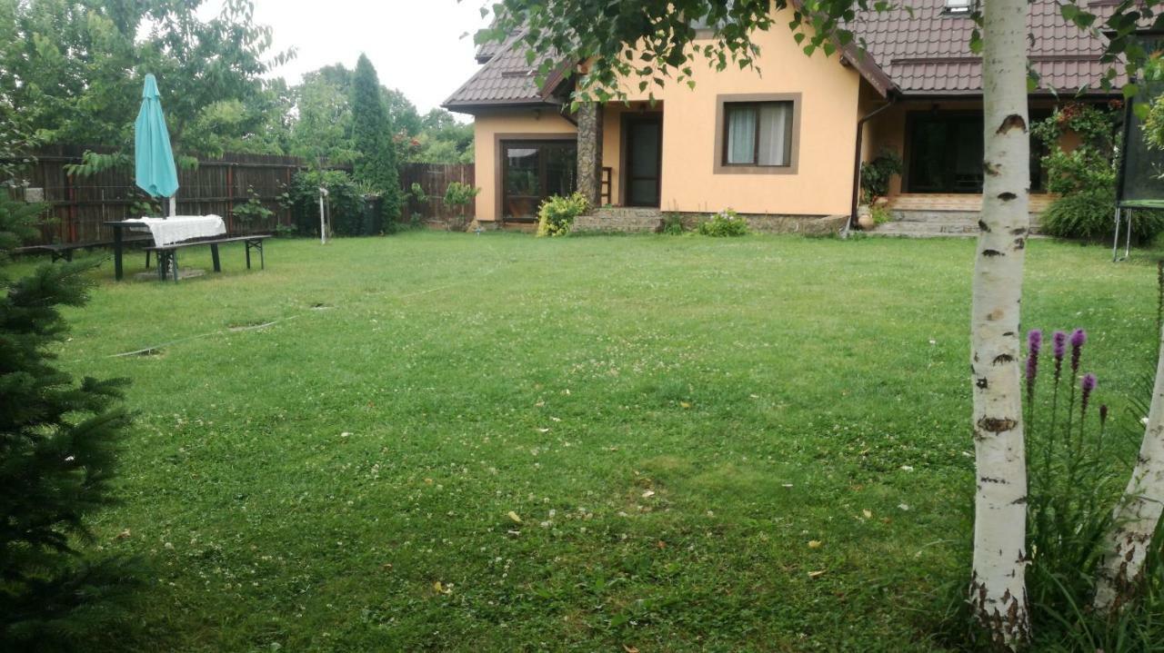Hotel Conacul Caterinei Polovragi Exterior foto